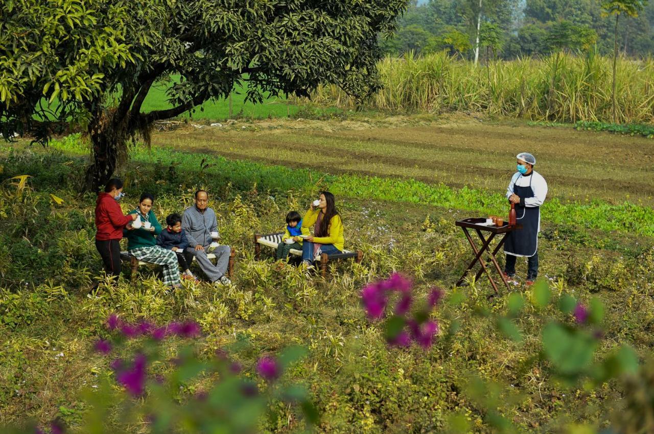 Sukoon - A Wellness Resort, Uttarakhand Chuharpur Ngoại thất bức ảnh
