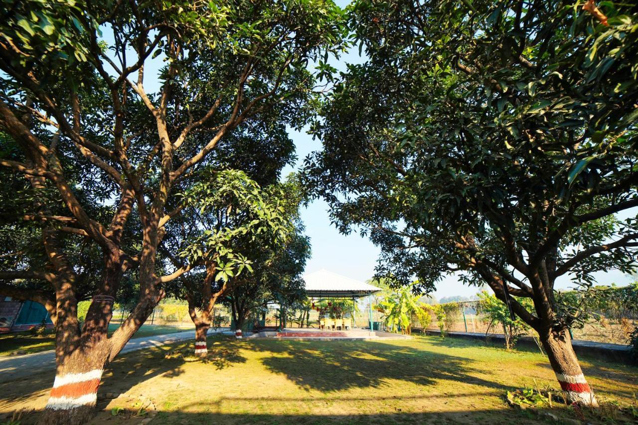 Sukoon - A Wellness Resort, Uttarakhand Chuharpur Ngoại thất bức ảnh