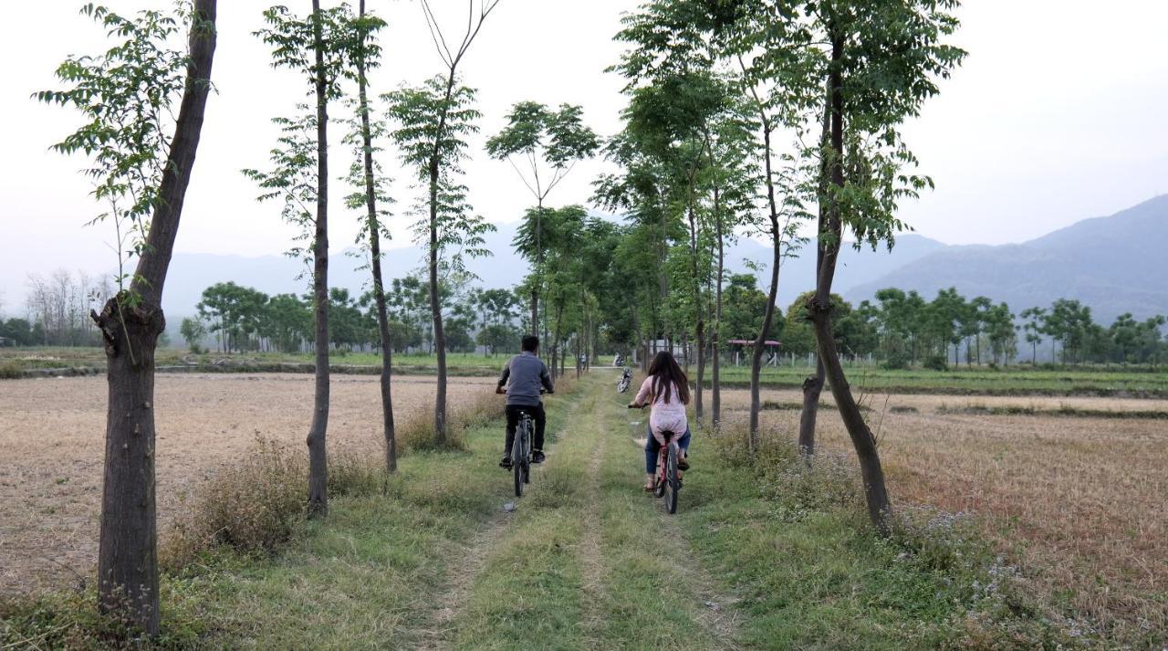 Sukoon - A Wellness Resort, Uttarakhand Chuharpur Ngoại thất bức ảnh